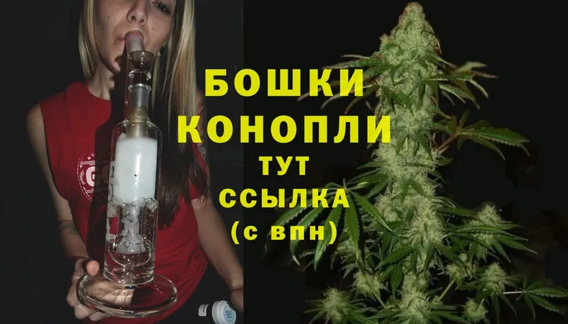 даркнет сайт  Луга  Марихуана THC 21% 